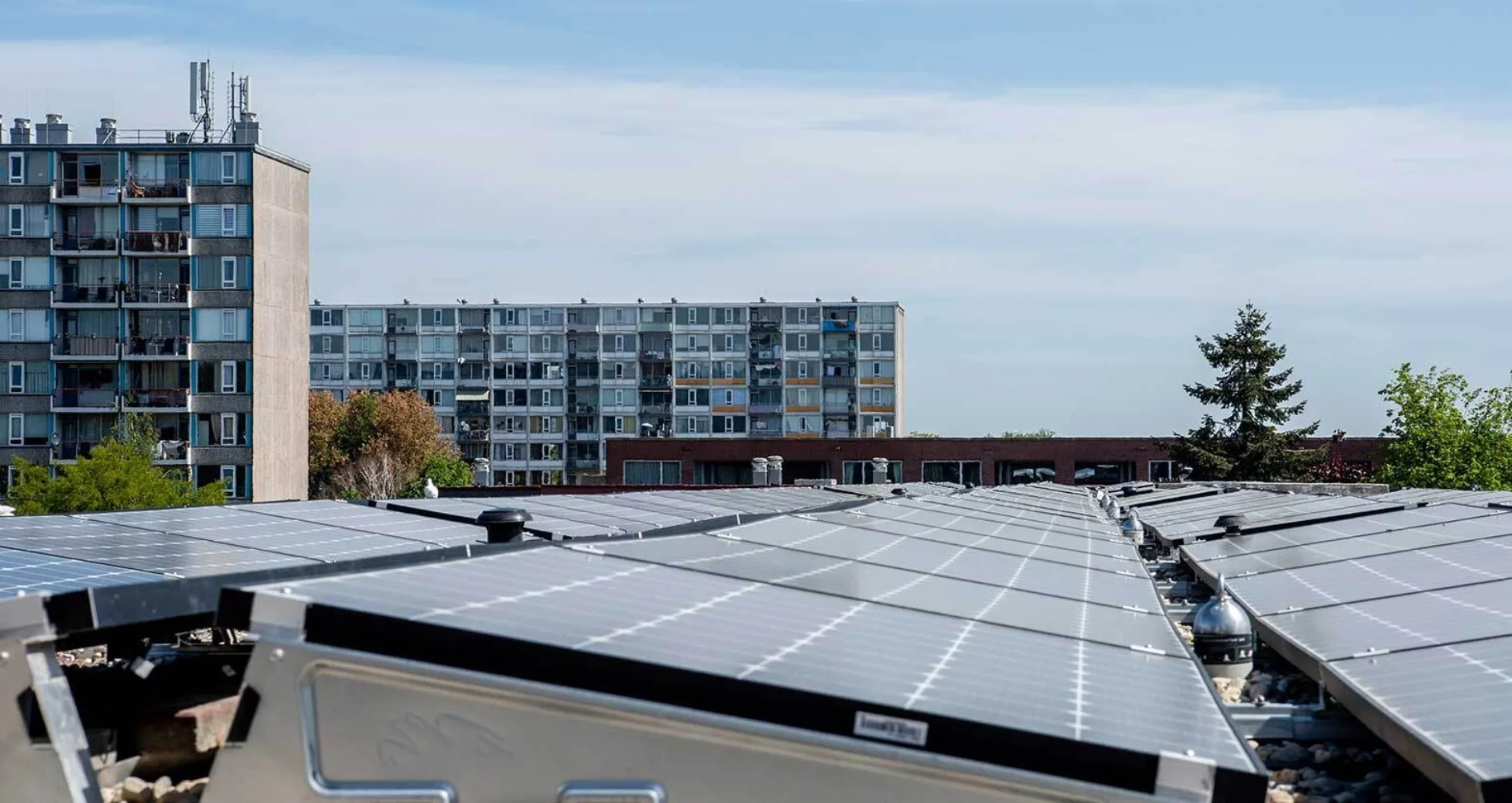 IT20250804 Hoppenbrouwers web 022